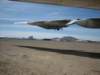 atthemojaveaircraftboneyard3_small.jpg