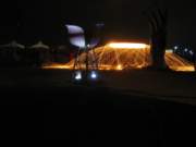 IMG_0245.JPG Photo Number 8